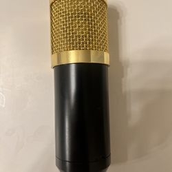 Beginner microphone