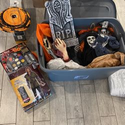 Halloween Decorations $300 Worth Of Stuff