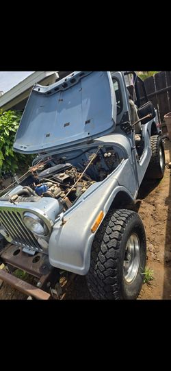 1974 jeep SW