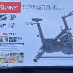 Sunny Exercise Bike