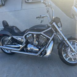 2003   V -Rod Harley Davison 