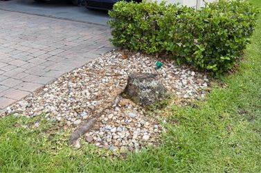Free Landscaping Rocks