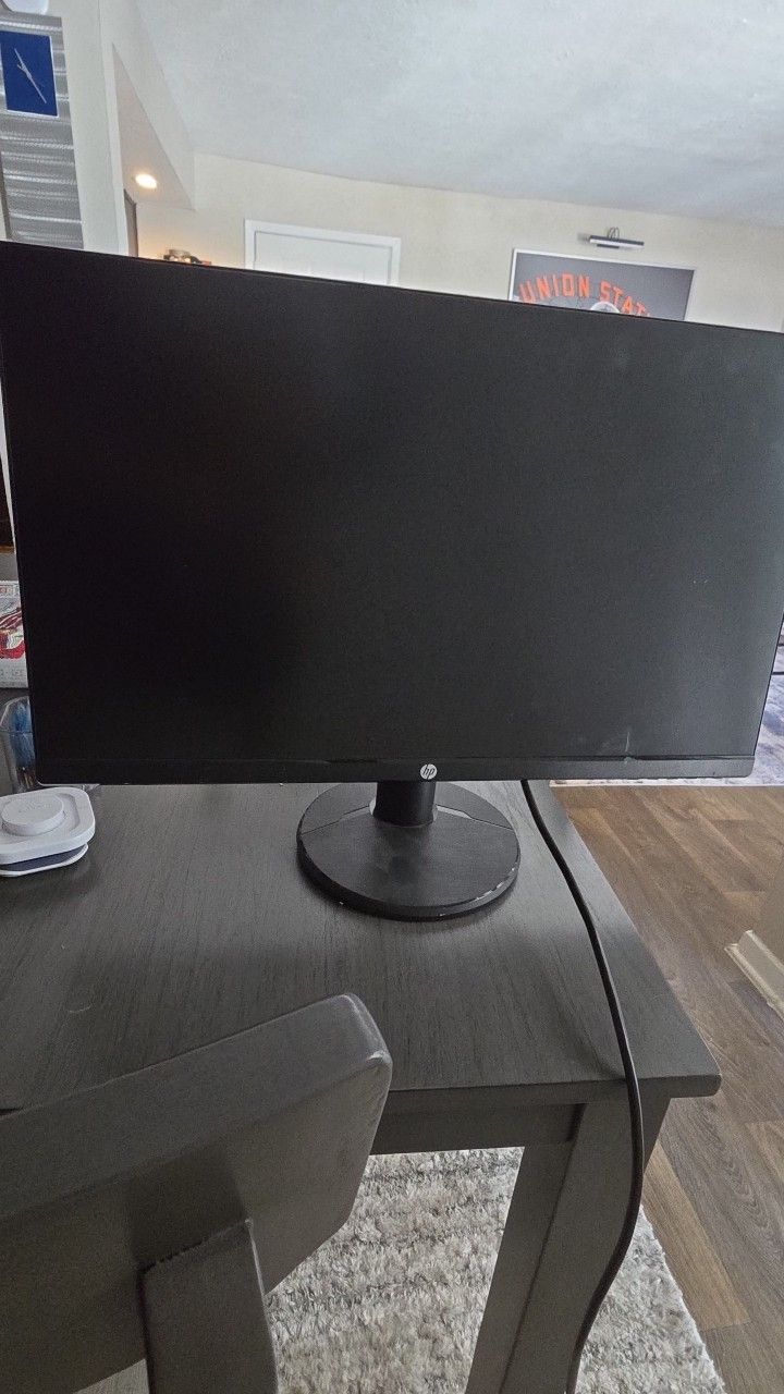 24" HP Computer Monitor