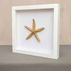 Framed Starfish In A Modern White Shadow Box