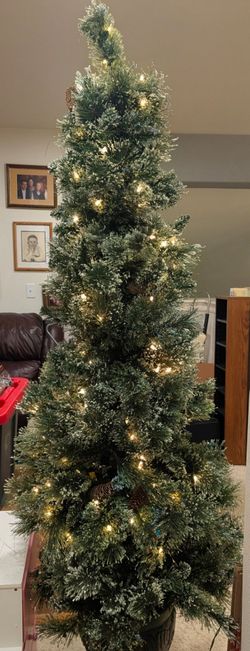 Christmas Tree