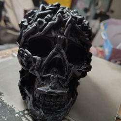 Unique Skull