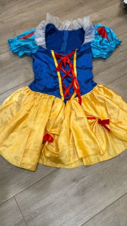 Snow White adult costume