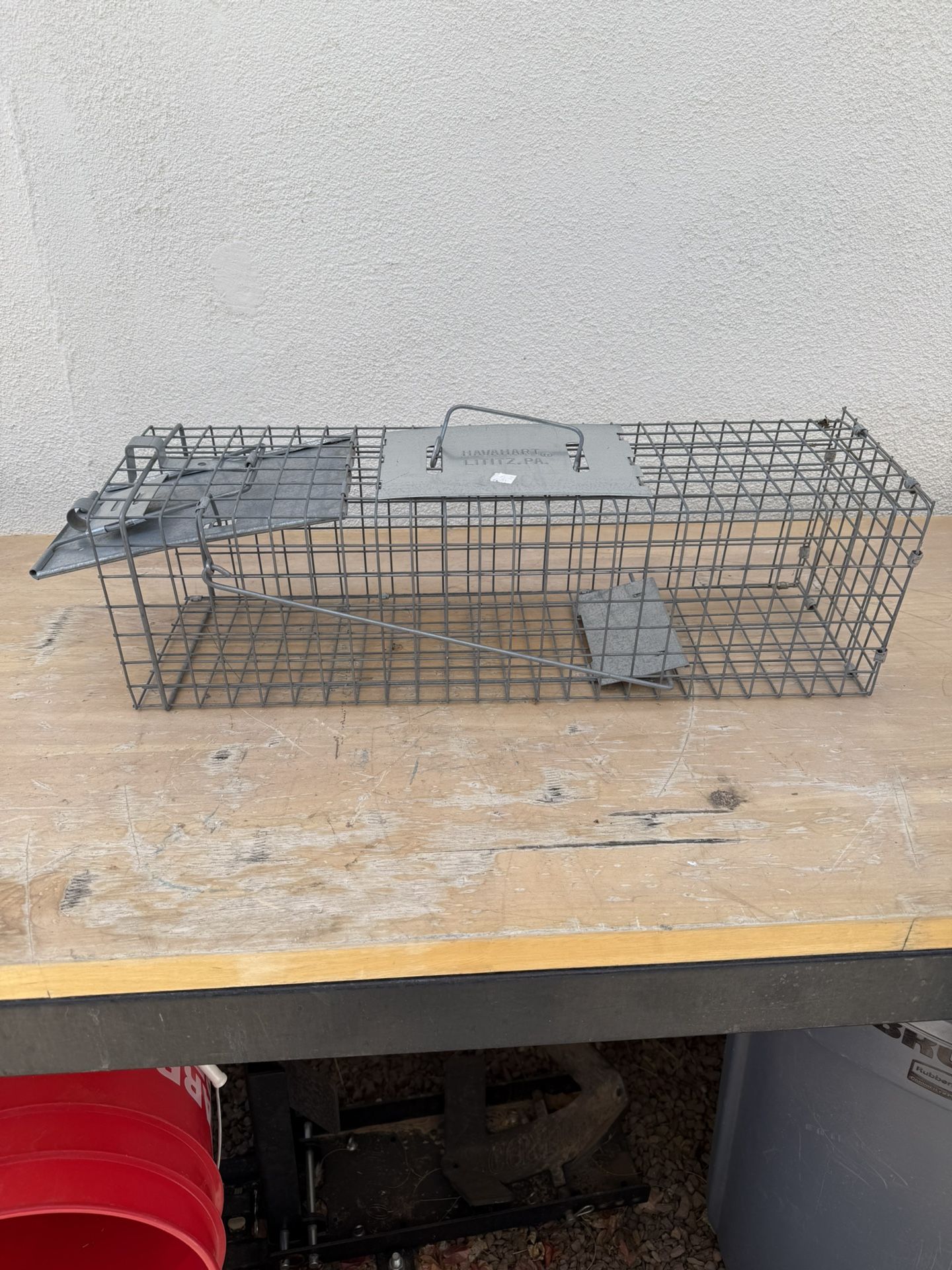Havahart Live Animal Trap