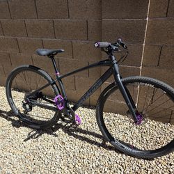 XS Custom 2020 Specialized Sirrus X
