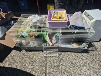 Guinea pig cage