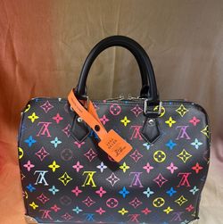 LV Speedy Trunk Murakami 30cm