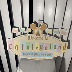 Disney Party Decorations Land Theme Disneyland 