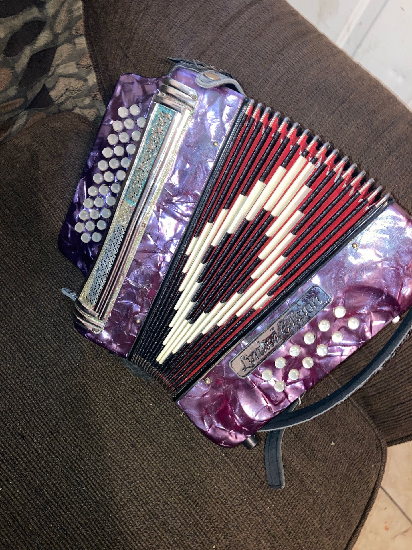 Limited edition accordion
