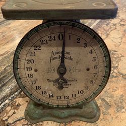 Antique American Family 25 LB Green Rustic Farmhouse Metal Family Kitchen Scale