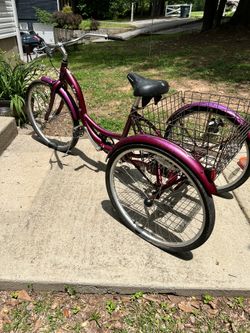 Schwinn Trike Adult 