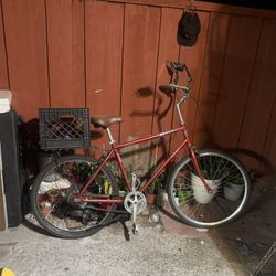 Bicicleta