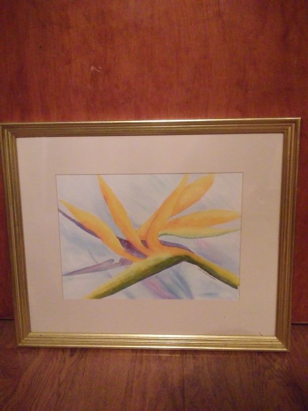 Water Color Framed Prints $25 Each