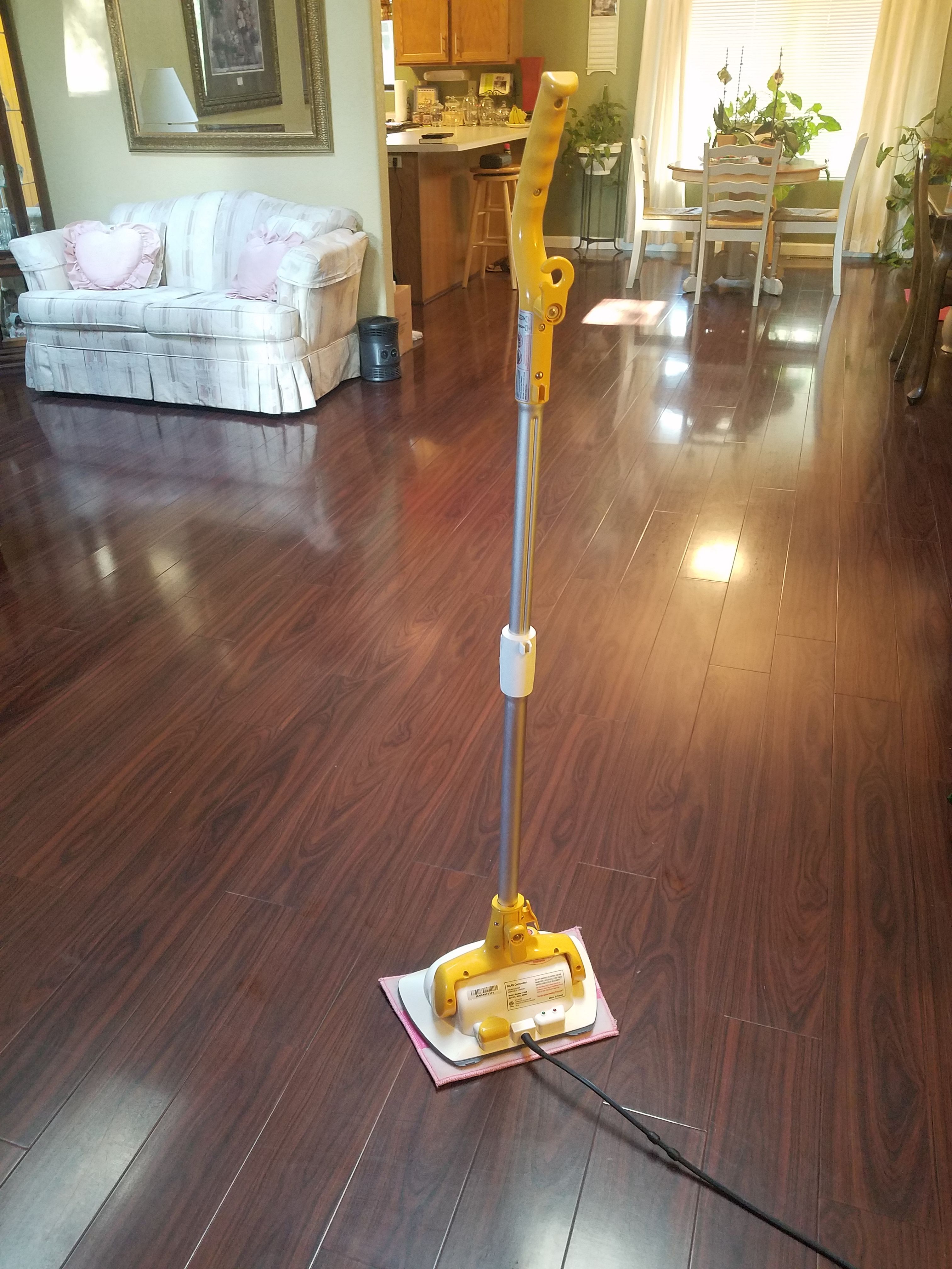 HAAN FLOOR SANITIZER/CLEANER
