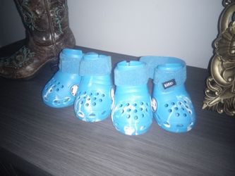 New little dog shoes