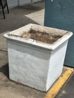 Concrete plant pots