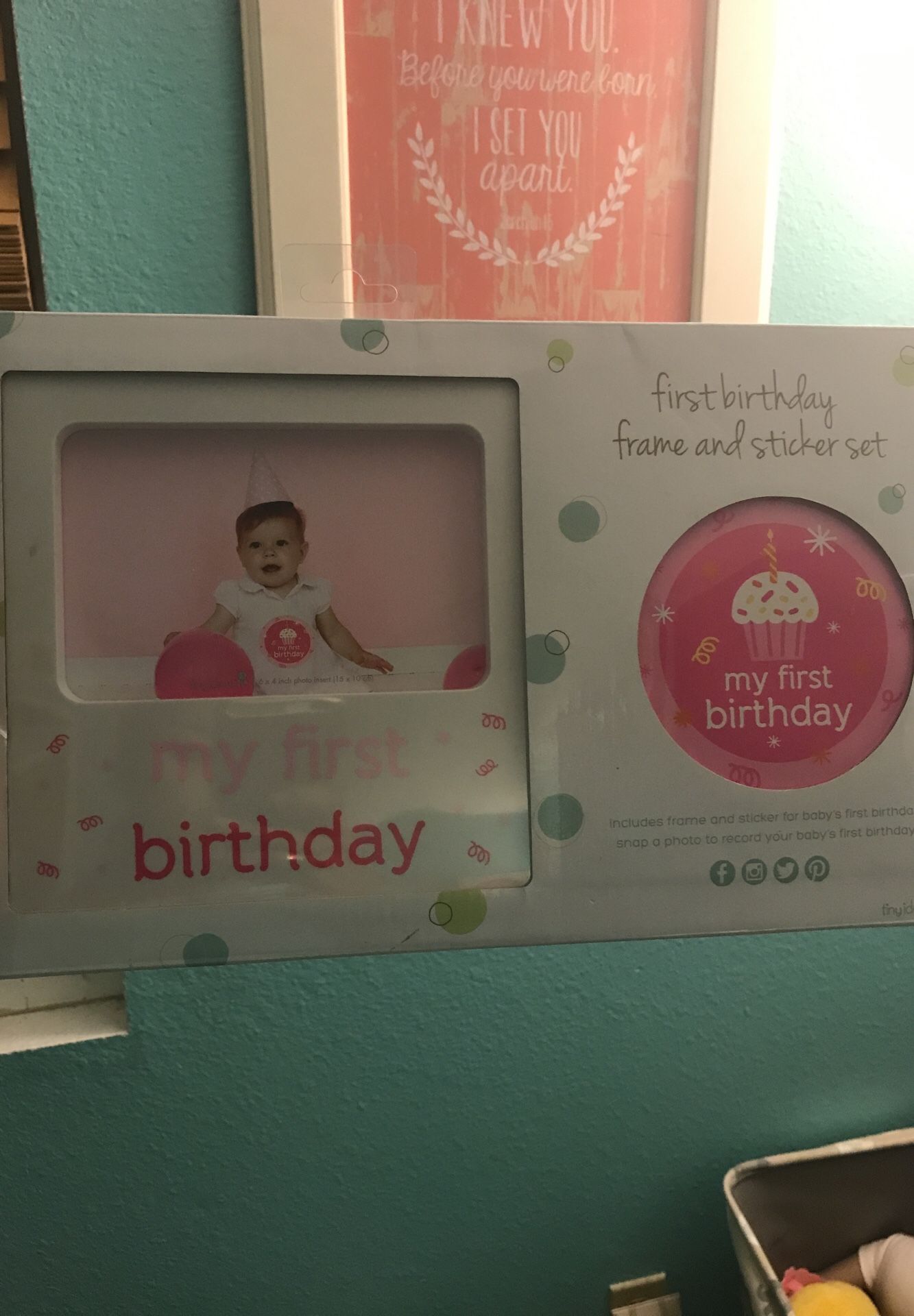 First birthday picture Kit