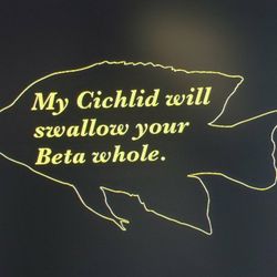 Glass and wall decals