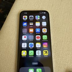 iPhone 13 Pro Max  512GB