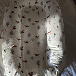 Organic Newborn Baby Nest! TotAha Superior Dock For Tot!