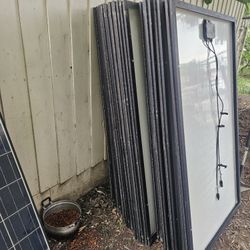 Trina 250W Solar Panels
