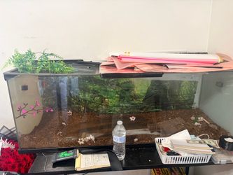 Large Glass Terrarium Tank with Lid