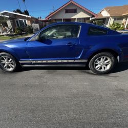 2005 Mustang 
