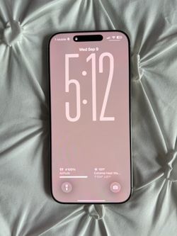 iPhone 16 ProMax | 256 GB (Like New)