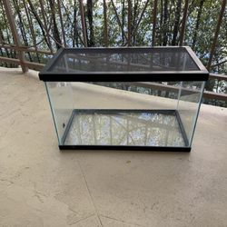 Turtle terranium , Lights And Filter