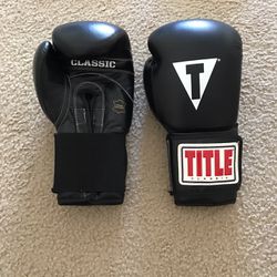 Title Leather Boxing Gloves 