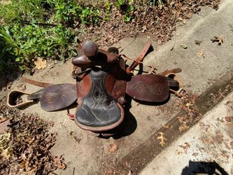 Horse Saddle