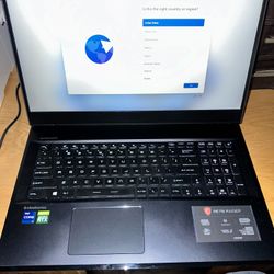 MSI GE76 Raider Laptop, RTX 3060
