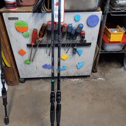 Phenix Feather FTX Bass Casting Fishing Rods