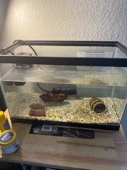 Aquarium 5 Gallon