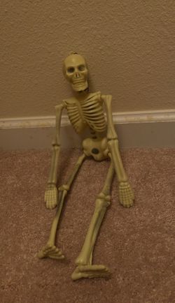 Halloween decoration skeleton