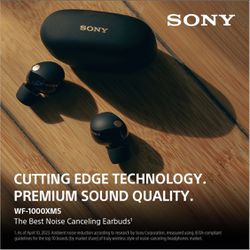 Sony Noise Cancelling Ear Buds 
