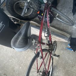 crossroads sport specialized bike bicycle