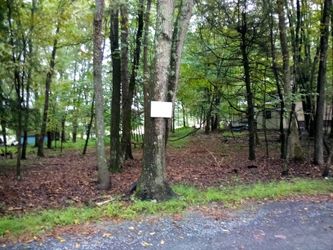 2 Lots Leasure Lands 3/4 Of An Acre