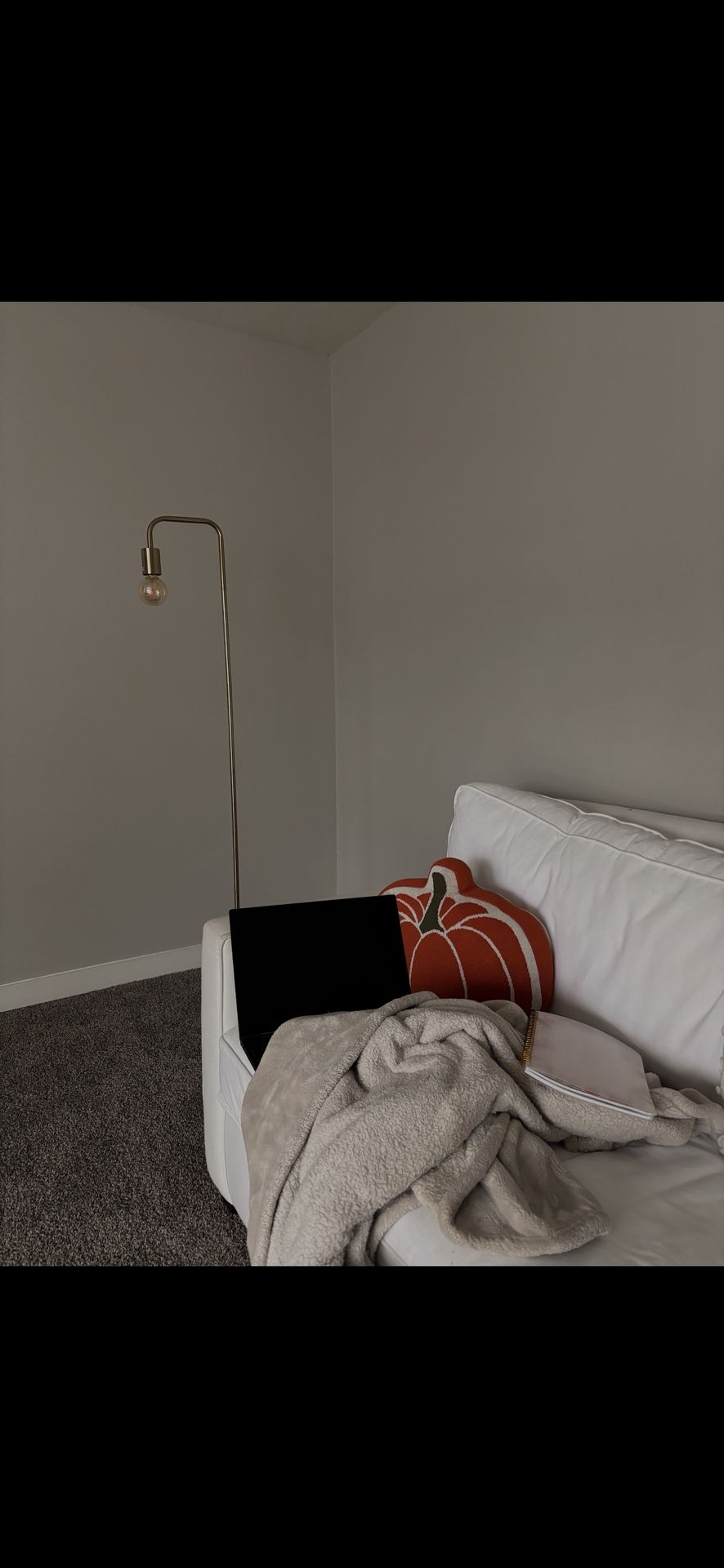 Pottery Barn Pullout Couch 