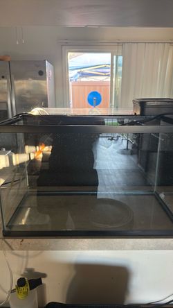 10 gallon
