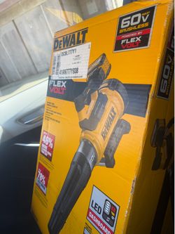 Dewalt Blower with 12 ah battery
