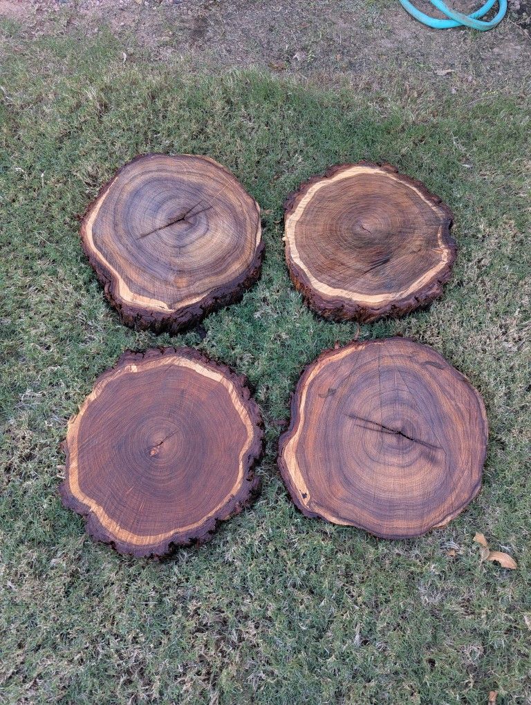 Mesquite Wood Rounds