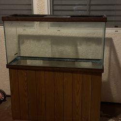 40 Gallon Fish Tank  