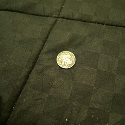 Buffalo Head Nickel 