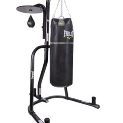 Punching Bag With Speed Bag And Stand