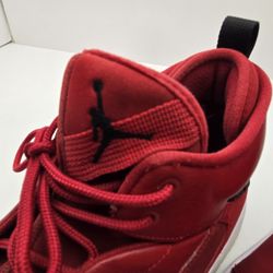 Air Jordan Shoes Size 12